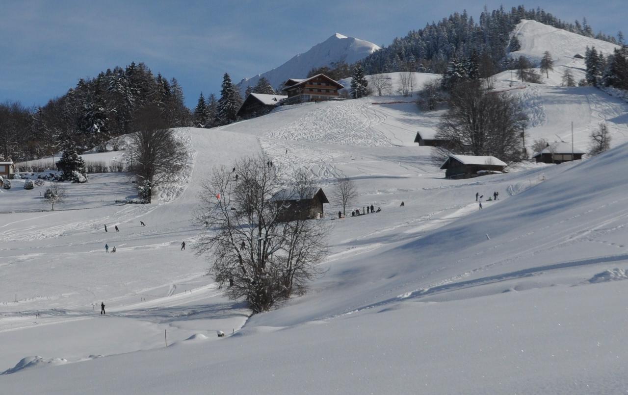 Готель Brunnenmatte Aeschi Bei Spiez Екстер'єр фото