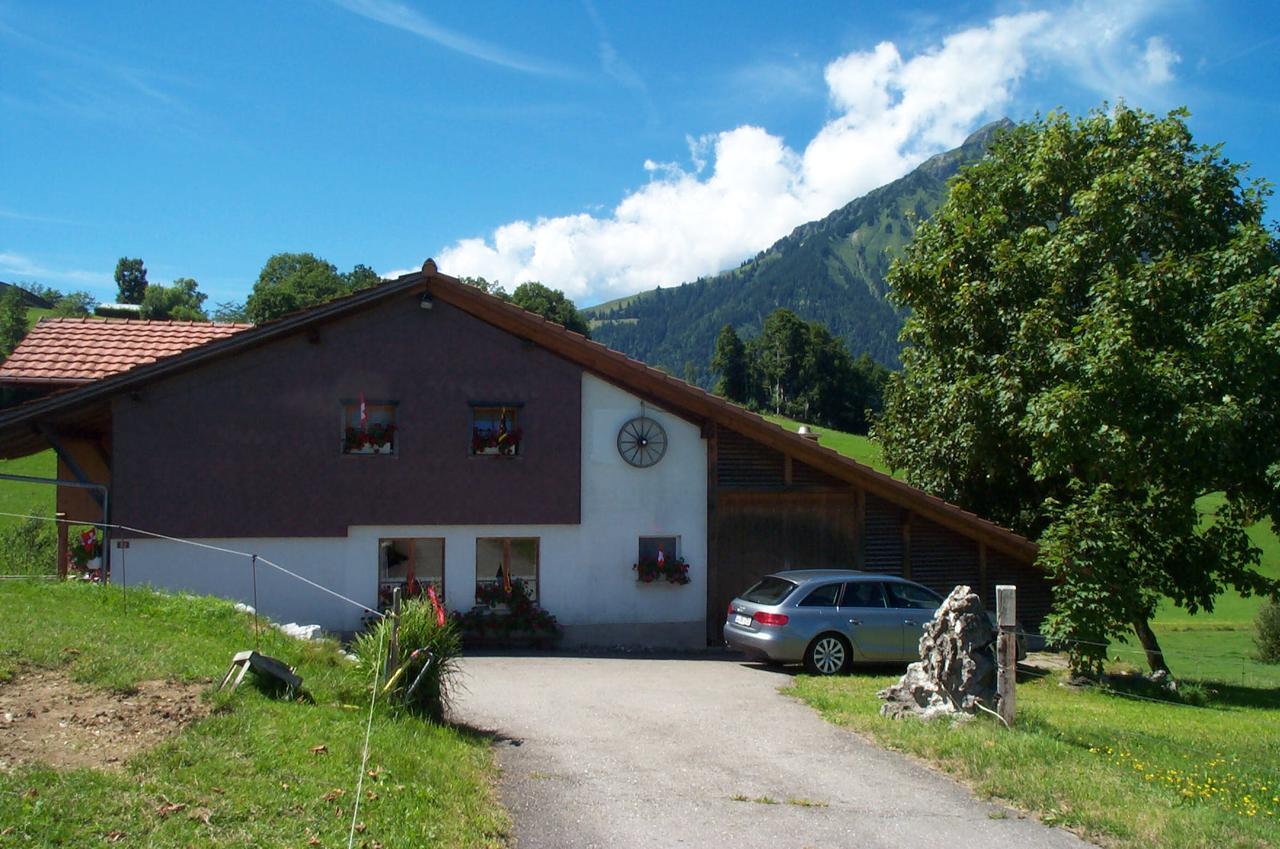 Готель Brunnenmatte Aeschi Bei Spiez Екстер'єр фото