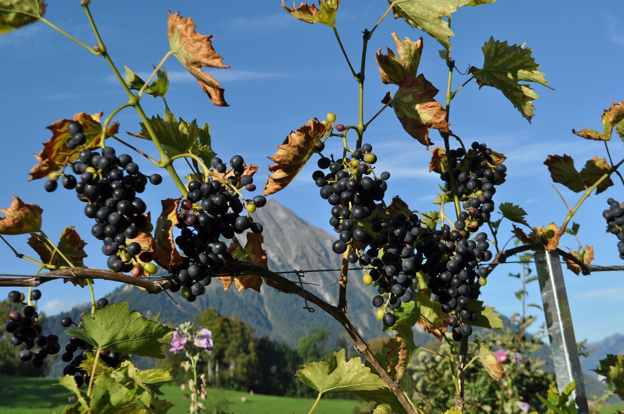 Готель Brunnenmatte Aeschi Bei Spiez Екстер'єр фото