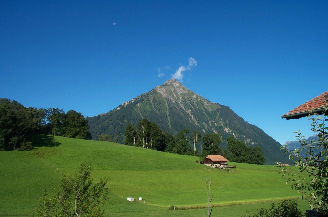 Готель Brunnenmatte Aeschi Bei Spiez Екстер'єр фото