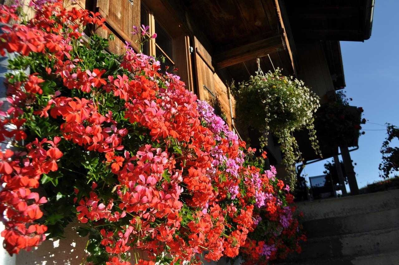 Готель Brunnenmatte Aeschi Bei Spiez Екстер'єр фото