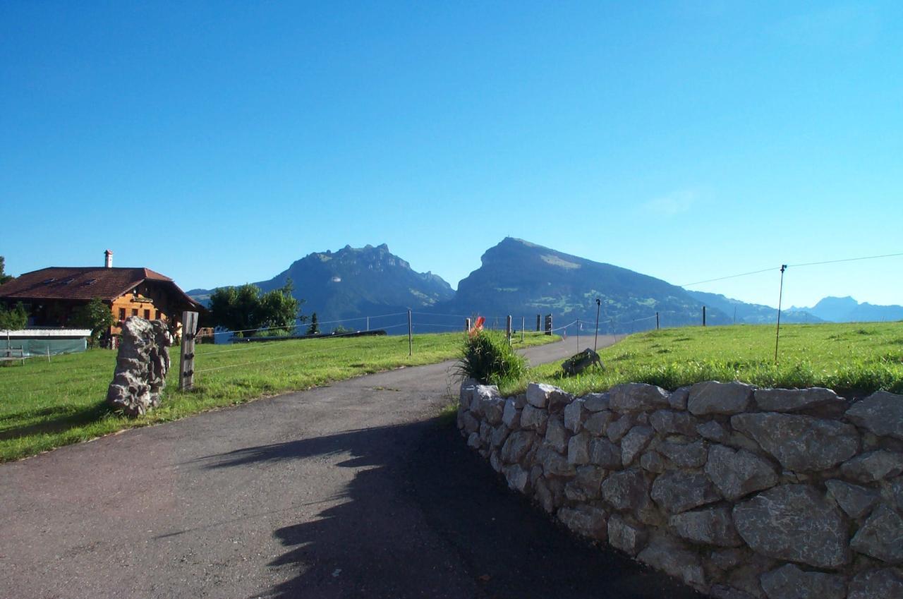 Готель Brunnenmatte Aeschi Bei Spiez Екстер'єр фото